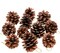 25 Pcs 1.6-2.4 Inches Christmas Pine Cones Decoration with String, Natural Rustic Pinecones Bulk Ornaments for Crafting for Home Accent Decor, Fall Thanksgiving Tree Decoration
